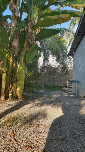Vrt ispred objekta NISETH Home