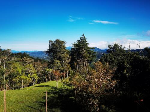 a grassy hill with trees in the background at Casa Roble Cabaña romántica en la montaña de Costa Rica in San Cristóbal Sur