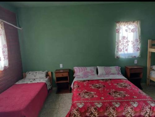 two beds in a room with green walls at Hospedaje Pringles in Santa Rosa del Conlara