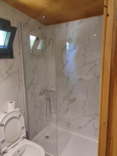 a bathroom with a shower and a toilet at Farmside OTEL in Fethiye