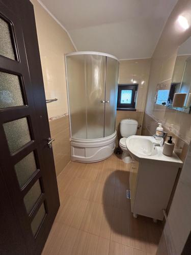 a bathroom with a shower and a sink and a toilet at Casa Livia in Tuzla