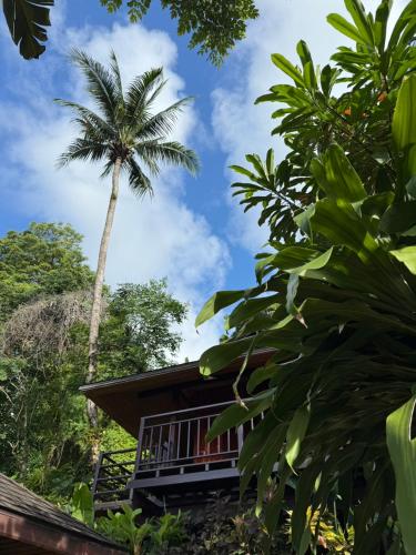 สวนหย่อมนอก Baan Krating Khao Lak Resort - SHA plus