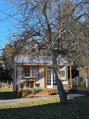 a house with a tree in front of it at Three Creeks Cottage Gateway to Tekapo and The MacKenzie District in Burkes Pass