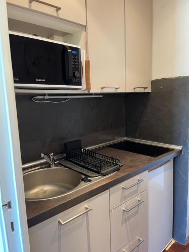 une cuisine avec un évier et un micro-ondes dans l'établissement Studio 4 personnes Valberg, à Péone