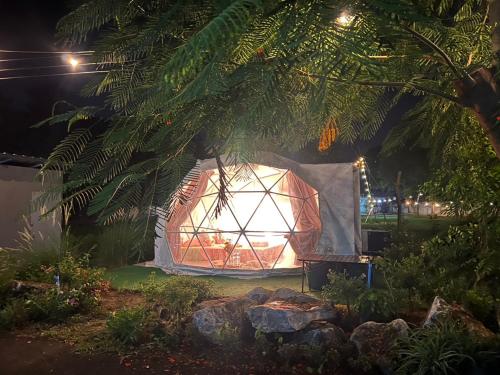 Taman di luar แพนด้าแคมปิ้งเขาใหญ่