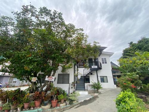 a white house with potted plants in front of it at Roomstay Cikgu Mie in Bayan Lepas