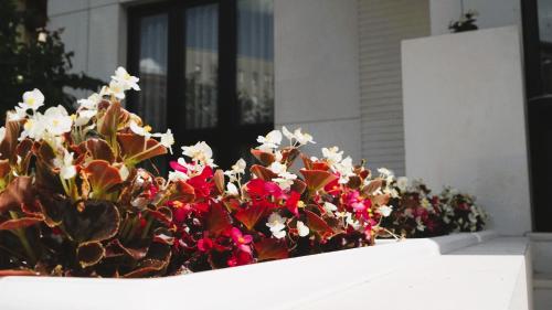 Arbnor Boutique Hotel — Garden view