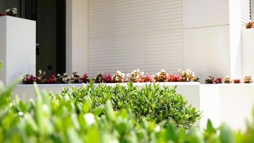 Arbnor Boutique Hotel — Garden view