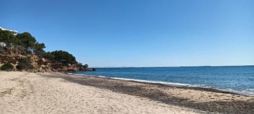 Playa Cristal Appartement bord de mer