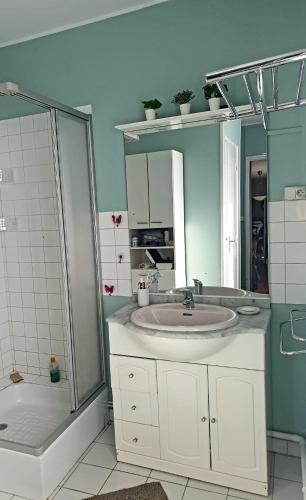 une salle de bain avec un lavabo et une douche dans l'établissement Maison de campagne, à Corancy