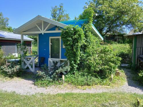 Gallery image of Дачний будиночок in Kobelyaky