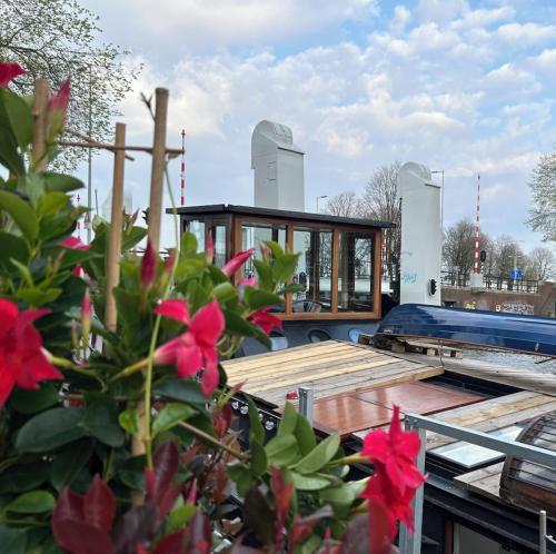 a building with a deck with red flowers in the foreground at Houseboat Reussi in Amsterdam