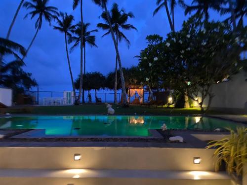 a swimming pool at night with palm trees at Reef House in Kamburugamuwa