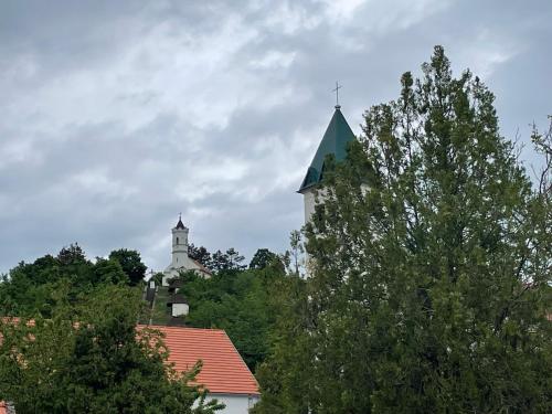 Фотография из галереи György Vendégház в городе Magyarpolány