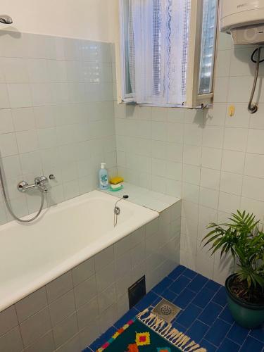 a bathroom with a bath tub and a plant at Vila Zorka in Trebinje