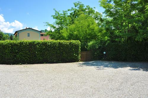a hedge with a ball in front of a house at Antico Pastificio in Greve in Chianti