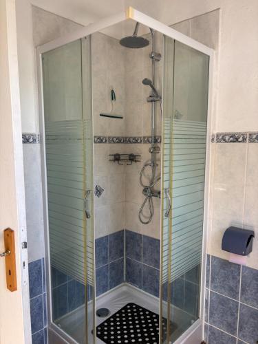 une douche avec une porte vitrée dans une salle de bain dans l'établissement Repos de l'Île aux Pies, à Saint-Vincent-sur-Oust