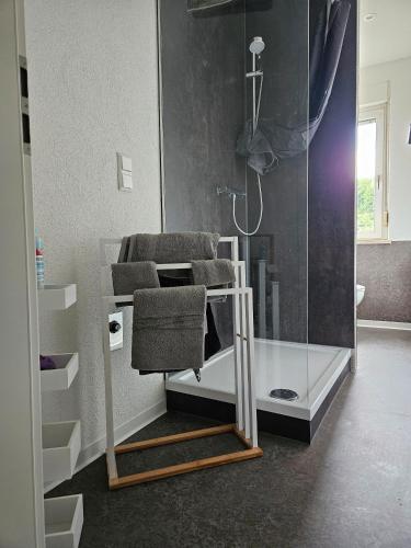 y baño con ducha y silla. en Ferienwohnung Sülzhayn, en Sülzhayn