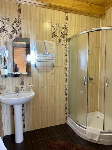 a bathroom with a glass shower and a sink at Hotel Dykyi Med in Tatariv