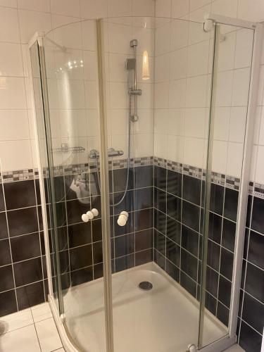 une douche avec une porte vitrée dans une salle de bain dans l'établissement Le Petit Carrousel, à Gérardmer