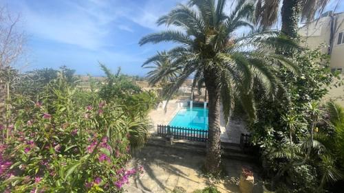 a house with a palm tree and a swimming pool at Casa Palma Gozo in Għarb