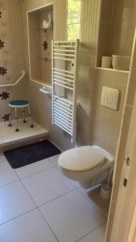 une petite salle de bain avec toilettes et douche dans l'établissement Grand T3 Balcon vue sur Rivière, à Amélie-les-Bains-Palalda