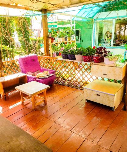 a room with furniture and plants on a porch at Ay-Rus Guest house Salt Lake in Malovodnoye