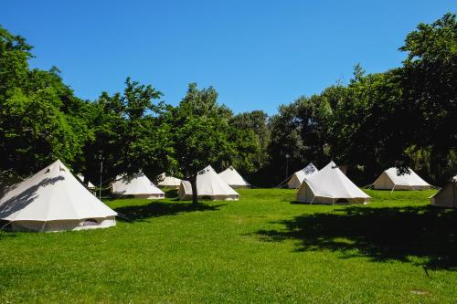 圣让-德吕兹Tente Double - Hegoa Surf Camp Pays Basque的草场上的一组帐篷
