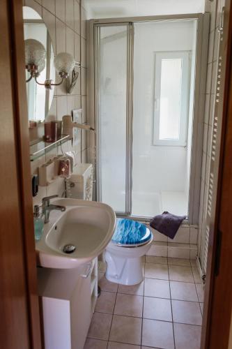 a bathroom with a toilet and a sink and a shower at Ferienwohnungen "Strand & Gut" - Dietmar Opel in Zempin