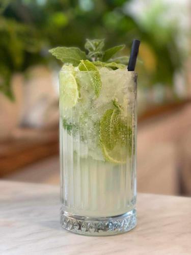 a glass with a drink with a lime and a stick at Hiša Poljana Rooms in Prevalje