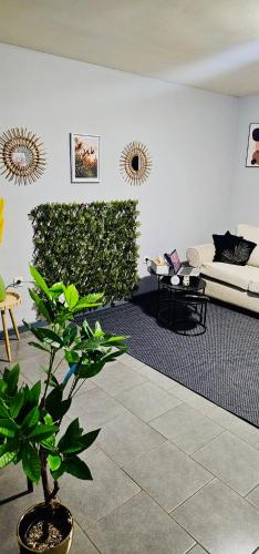 a living room with a couch and a plant at B&B Evasion Appartment in Mons