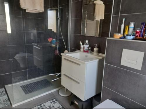 une salle de bain avec un lavabo, une douche et des toilettes dans l'établissement porticcio, à Porticcio