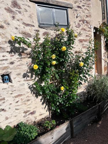 Κήπος έξω από το Loveshack France