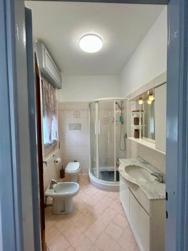 a bathroom with a shower and a sink and a toilet at B&B a San Michele da Maja in Gardone Riviera
