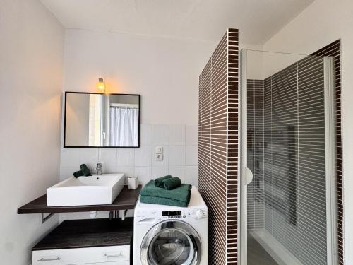 une salle de bain avec une machine à laver et un lavabo dans l'établissement L'Atelier - Centre - Vieux Mans - 4 pers, au Mans