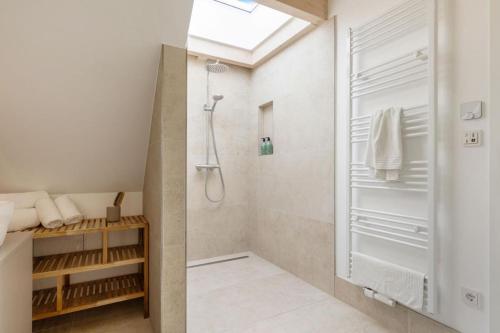 La salle de bains est pourvue d'une douche et d'un dressing. dans l'établissement Luxus-Ferienhaus DS11, à Fehmarn