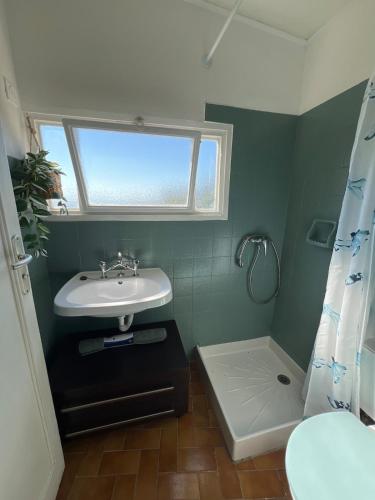 une salle de bain avec un lavabo et une douche dans l'établissement Villa with sea view and garden City centre and nature, à Roquebrune-Cap-Martin