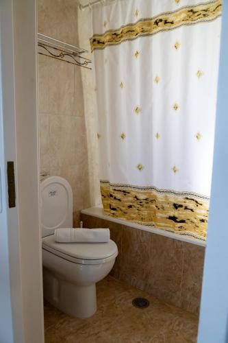 a bathroom with a toilet and a shower curtain at InstaView Tolo in Tolo
