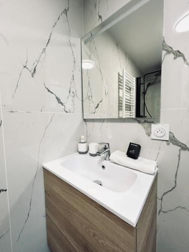 une salle de bain avec un lavabo et un miroir dans l'établissement 4 clairmarais T2 chic et cocooning proche centre, à Reims
