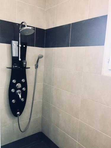 une salle de bain avec une douche avec pommeau de douche dans l'établissement Maison proche de Perpignan et de la mer, à Pia