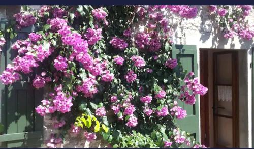 a bunch of purple flowers hanging from a tree at Casa Muslone in Muslone
