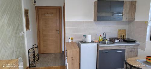 Η κουζίνα ή μικρή κουζίνα στο Naša priča Zlatibor