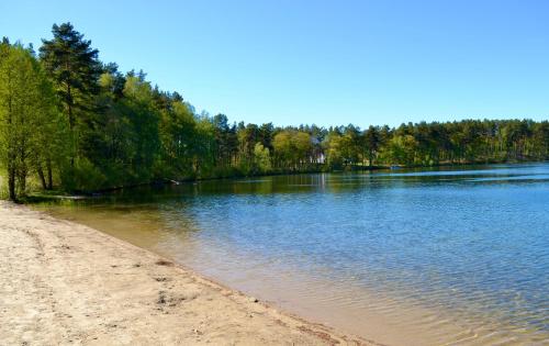 a beach next to a body of water at Noclegi Bero Fejn in Lipusz