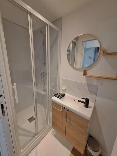 une salle de bain avec une douche, un lavabo et un miroir dans l'établissement Notre Dame 6 - Duplex 4 personnes - Hypercentre, à Orléans
