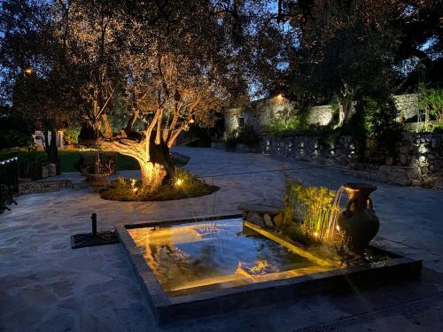 une fontaine dans une cour avec un arbre et des lumières dans l'établissement BREATHE Guest-house, à Nice