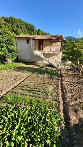 a house in a field with a field of plants at Magnus Apartments in Dukat