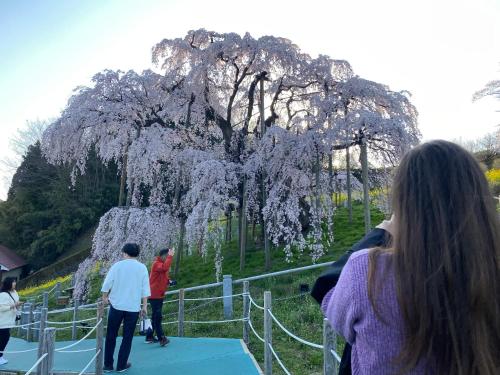 Sudo Nousaienの宿泊客
