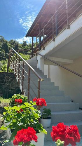 a stairway with red flowers in pots next to stairs at Magnus Apartments in Dukat