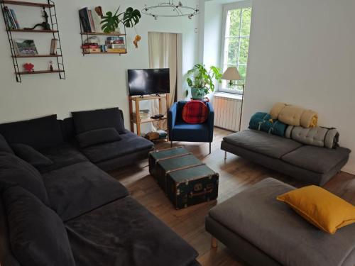 un salon avec un canapé et une chaise dans l'établissement Maison Hélice - gîte en bord de rivière - Ardèche, à Antraigues-sur-Volane