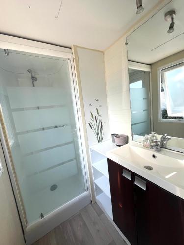 une salle de bain avec une douche en verre et un lavabo dans l'établissement Entre Mer et Roseaux - Piscine - Proche centre et mer - Petfriendly, à Port-la-Nouvelle